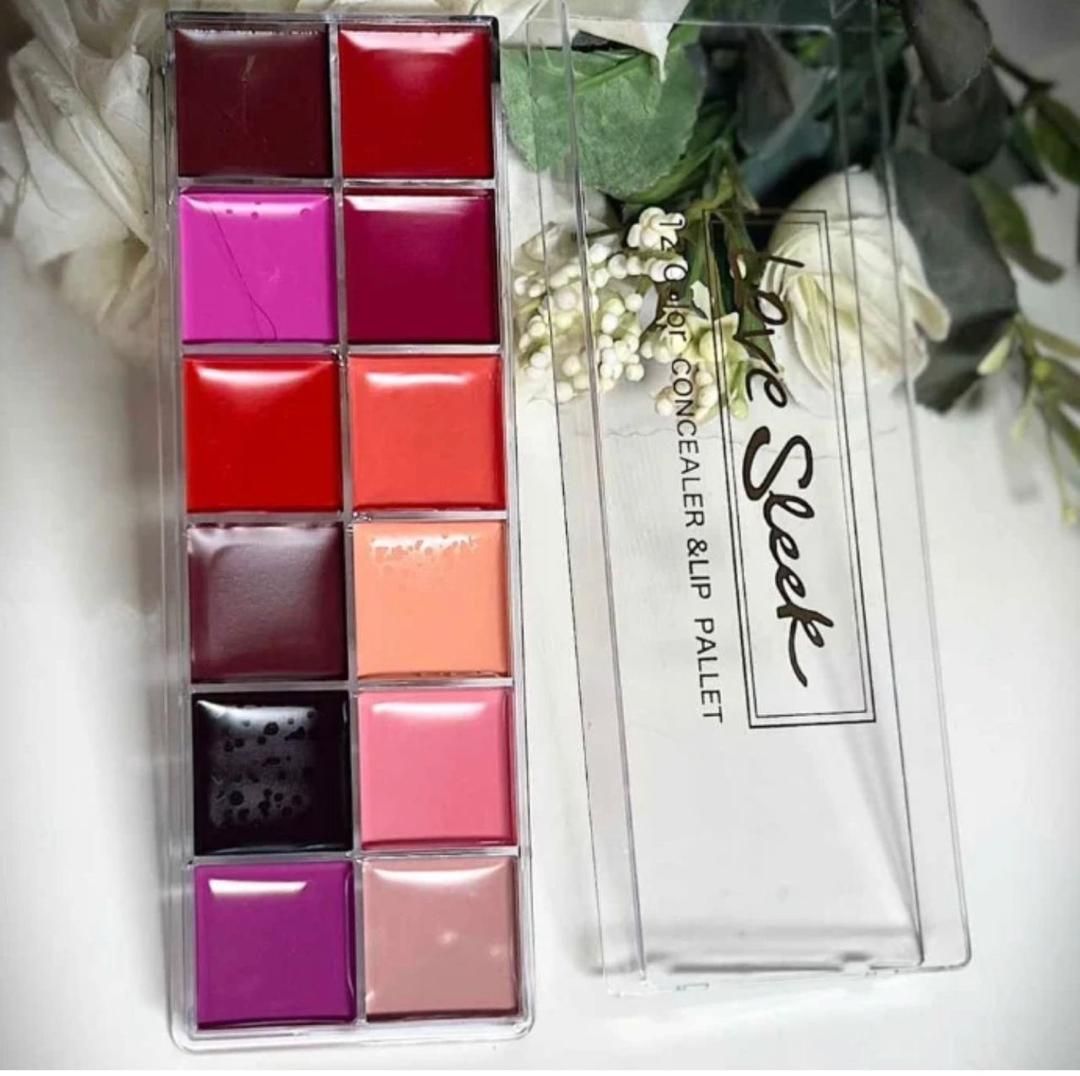 Love Sleek – Palette Correctrice & Lèvres 12 Couleurs
